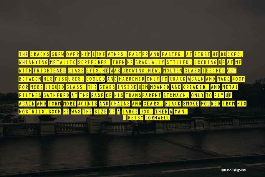 The Big Heat Quotes By Betsy Cornwell The Big Heat Quotes By Betsy Cornwell