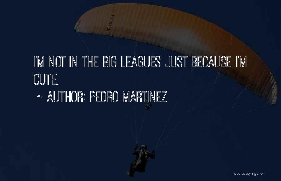 The Big Leagues Quotes By Pedro Martinez