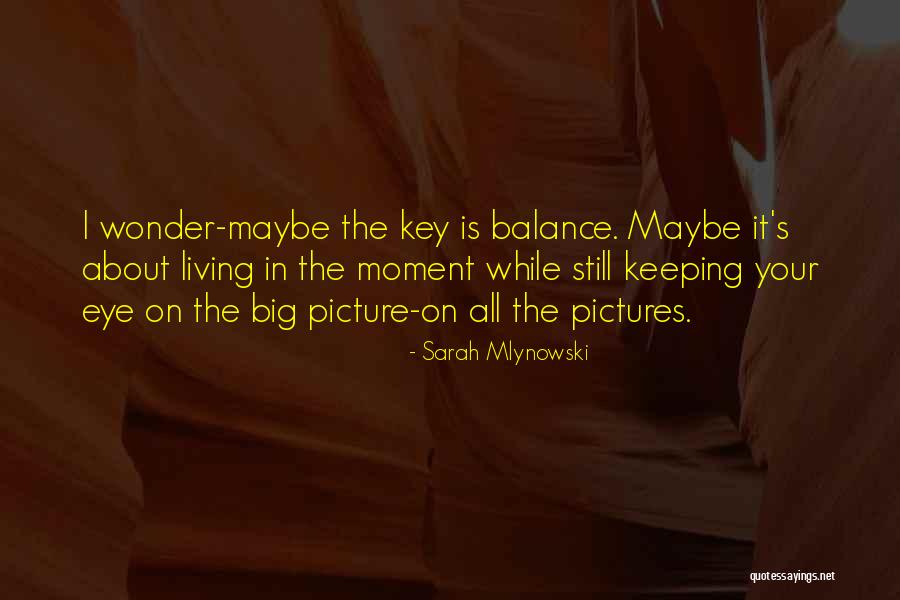 The Big Picture Quotes By Sarah Mlynowski The Big Picture Quotes By Sarah Mlynowski