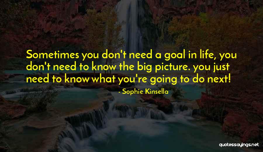 The Big Picture Quotes By Sophie Kinsella The Big Picture Quotes By Sophie Kinsella