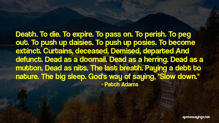 The Big Sleep Quotes By Patch Adams The Big Sleep Quotes By Patch Adams