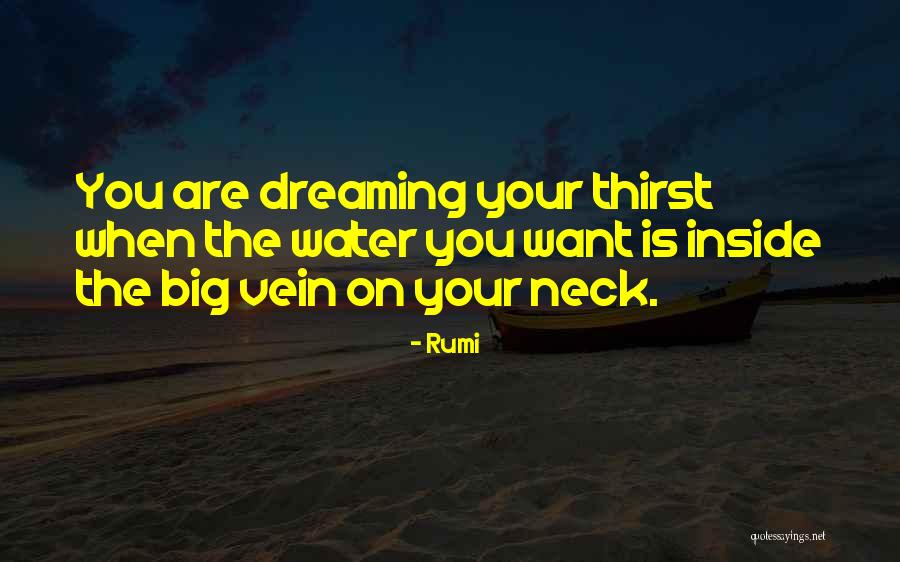 The Big Thirst Quotes By Rumi