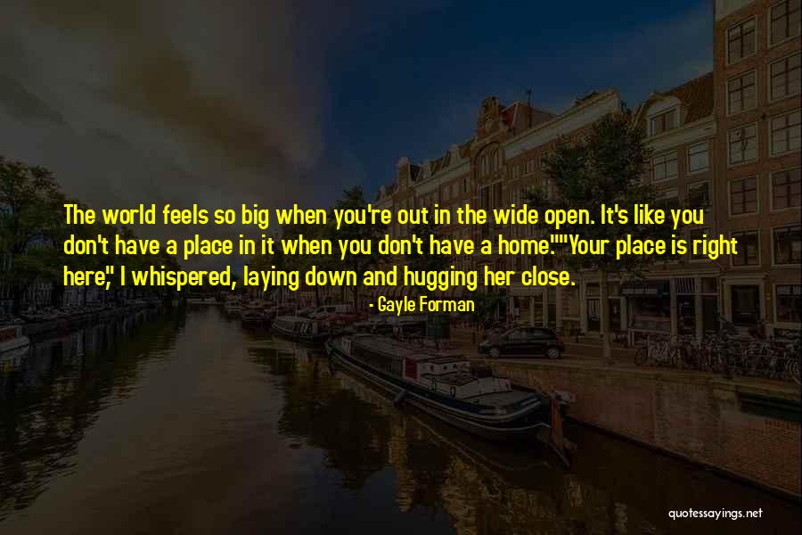 The Big Wide World Quotes By Gayle Forman