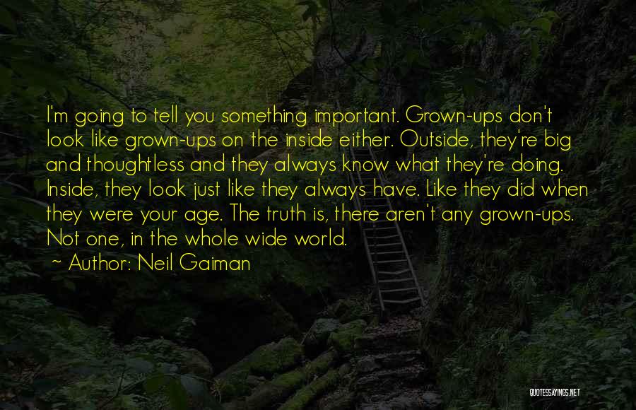 The Big Wide World Quotes By Neil Gaiman