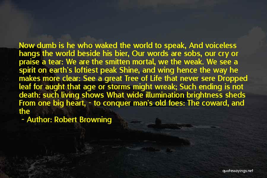 The Big Wide World Quotes By Robert Browning