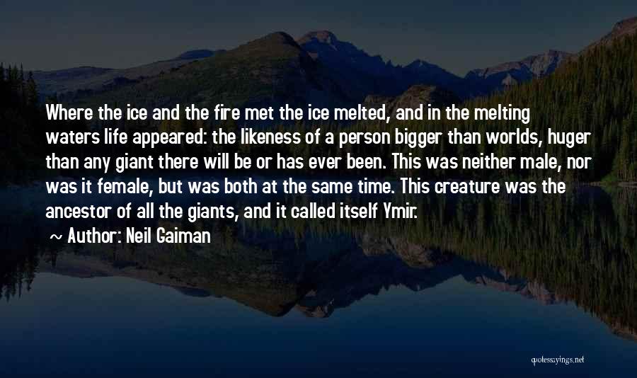 The Bigger Person Quotes By Neil Gaiman