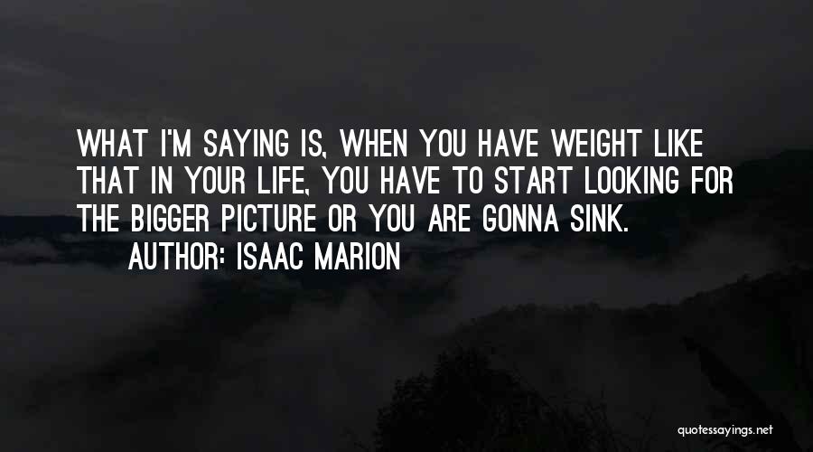 The Bigger Picture Of Life Quotes By Isaac Marion