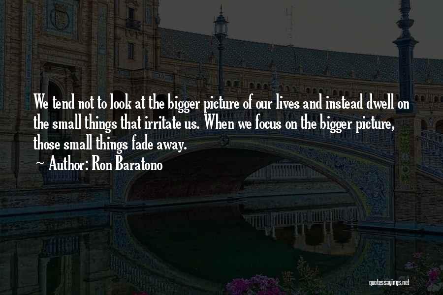 The Bigger Picture Of Life Quotes By Ron Baratono