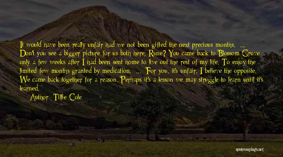 The Bigger Picture Of Life Quotes By Tillie Cole