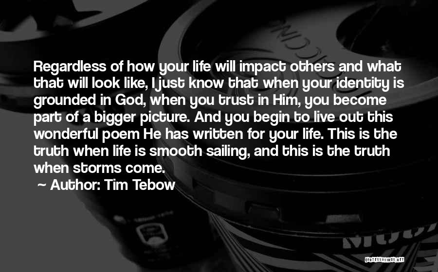 The Bigger Picture Of Life Quotes By Tim Tebow