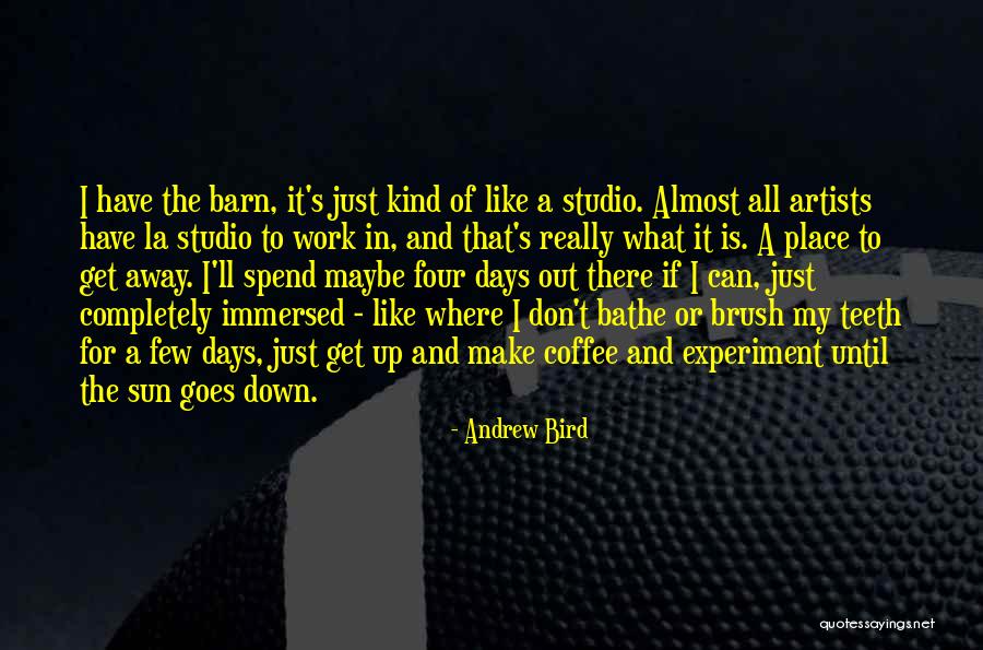 The Bird Artist Quotes By Andrew Bird The Bird Artist Quotes By Andrew Bird