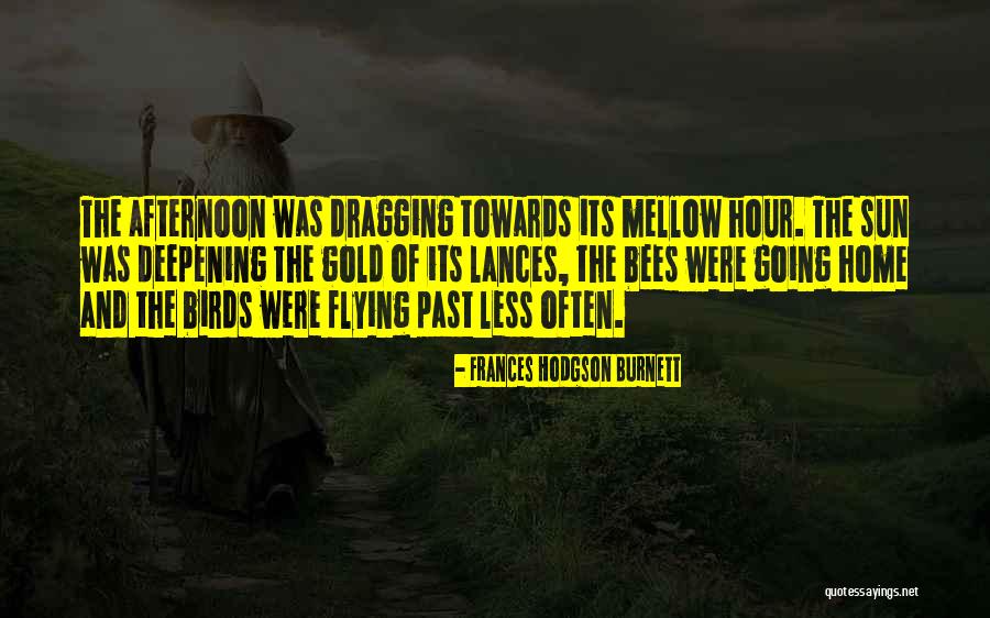 The Birds And The Bees Quotes By Frances Hodgson Burnett The Birds And The Bees Quotes By Frances Hodgson Burnett