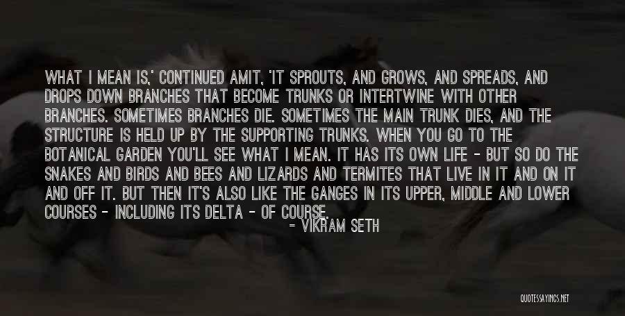 The Birds And The Bees Quotes By Vikram Seth The Birds And The Bees Quotes By Vikram Seth