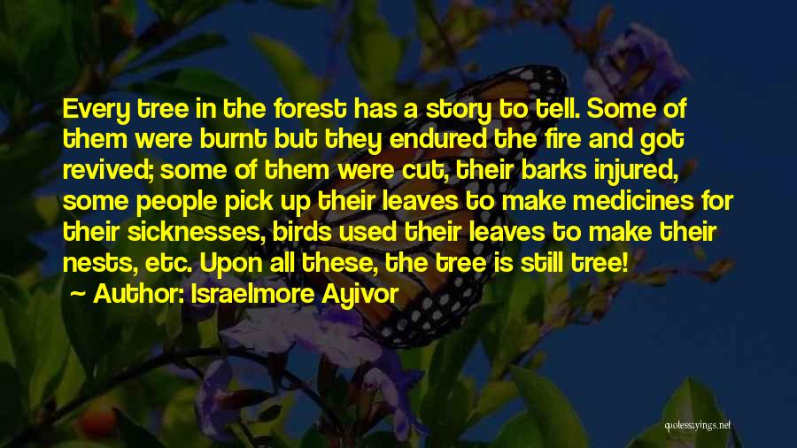 The Birds Story Quotes By Israelmore Ayivor