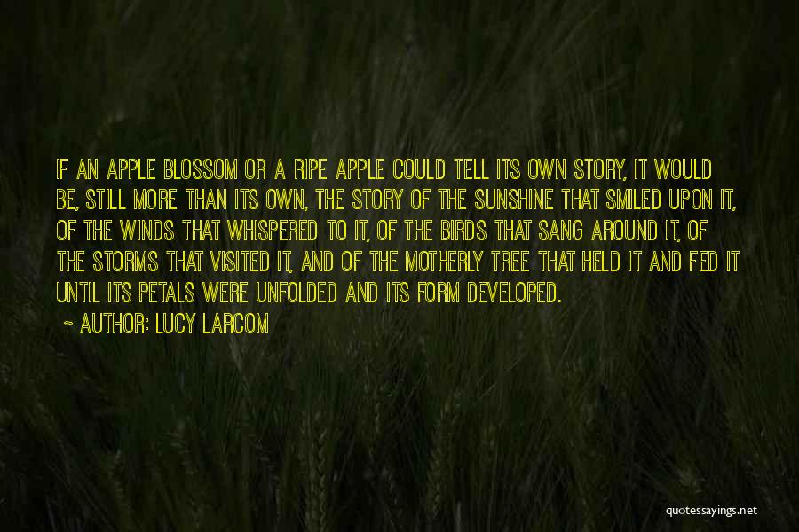The Birds Story Quotes By Lucy Larcom