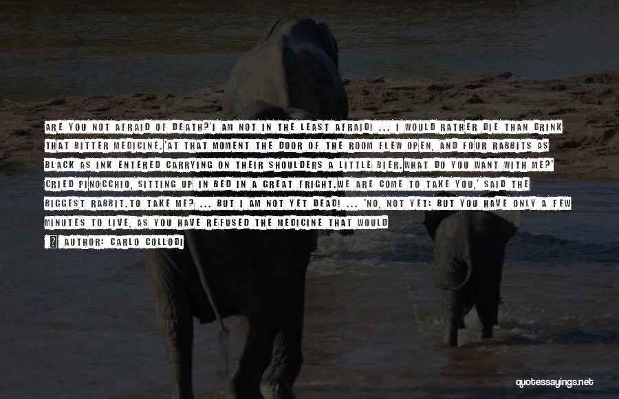 The Black Death Quotes By Carlo Collodi