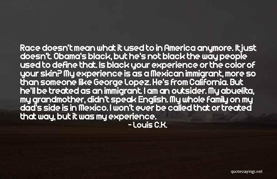 The Black Experience Quotes By Louis C.K. The Black Experience Quotes By Louis C.K.