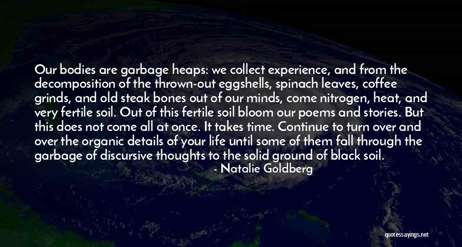 The Black Experience Quotes By Natalie Goldberg The Black Experience Quotes By Natalie Goldberg