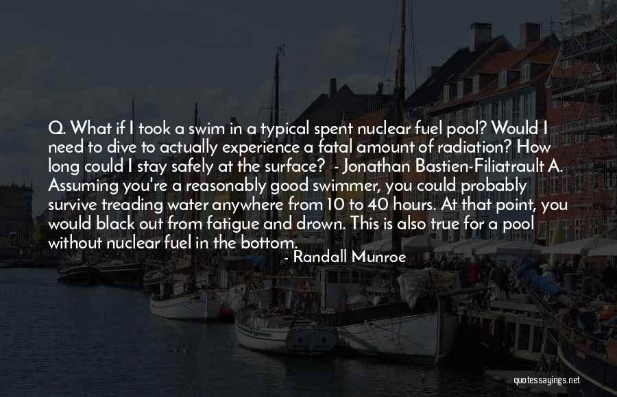 The Black Experience Quotes By Randall Munroe The Black Experience Quotes By Randall Munroe