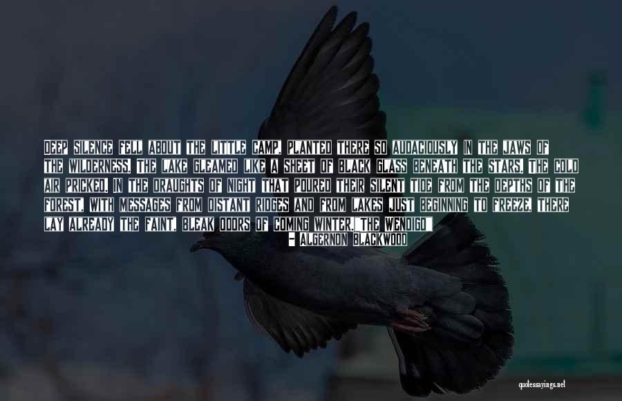 The Black Forest Quotes By Algernon Blackwood The Black Forest Quotes By Algernon Blackwood