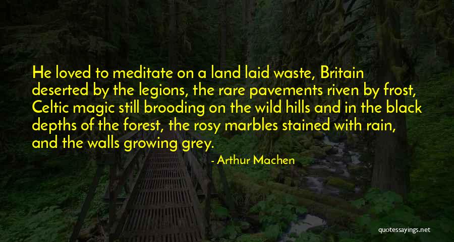 The Black Forest Quotes By Arthur Machen