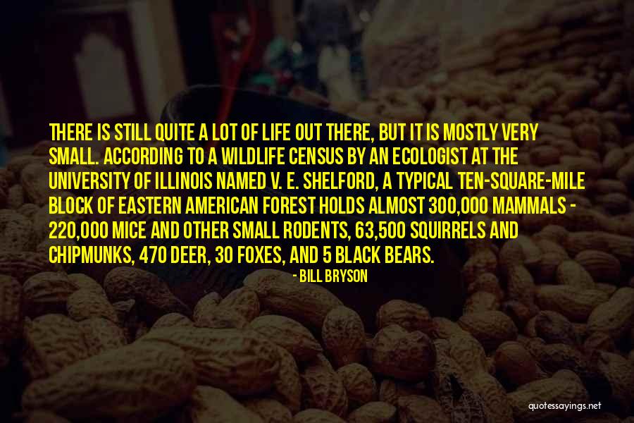 The Black Forest Quotes By Bill Bryson