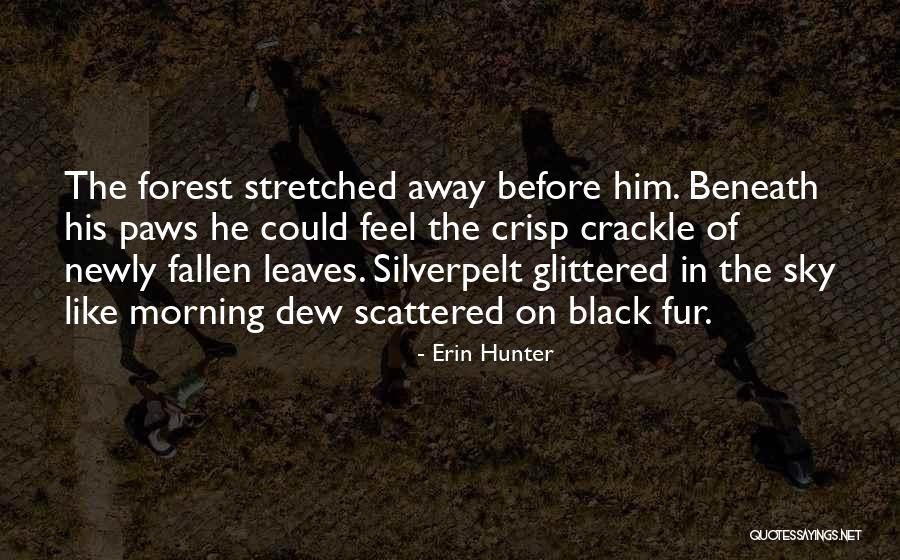 The Black Forest Quotes By Erin Hunter The Black Forest Quotes By Erin Hunter