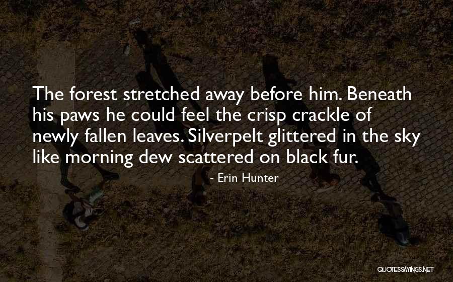 The Black Forest Quotes By Erin Hunter