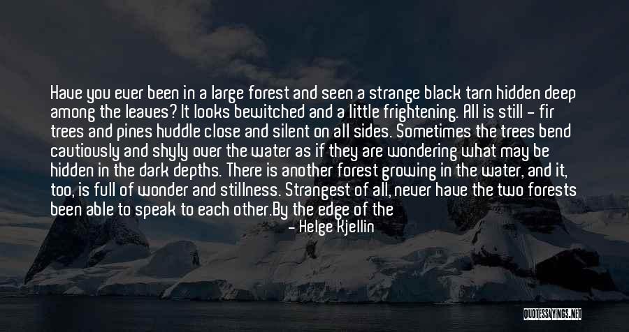 The Black Forest Quotes By Helge Kjellin The Black Forest Quotes By Helge Kjellin