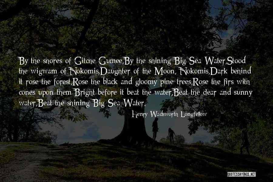 The Black Forest Quotes By Henry Wadsworth Longfellow