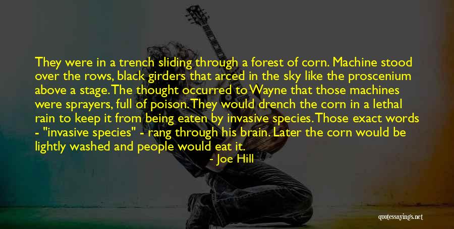 The Black Forest Quotes By Joe Hill The Black Forest Quotes By Joe Hill