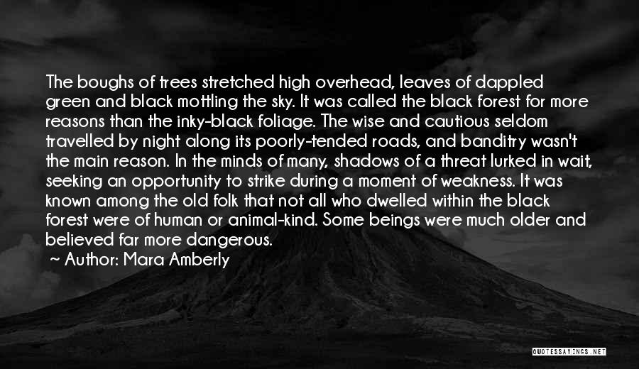 The Black Forest Quotes By Mara Amberly