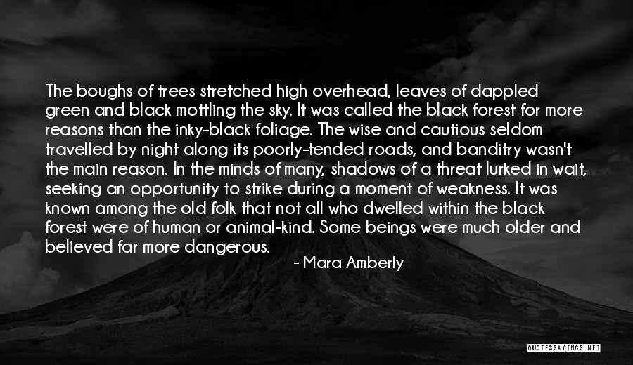 The Black Forest Quotes By Mara Amberly