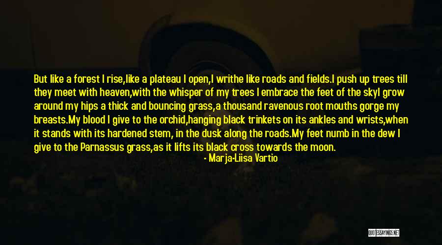 The Black Forest Quotes By Marja-Liisa Vartio The Black Forest Quotes By Marja-Liisa Vartio