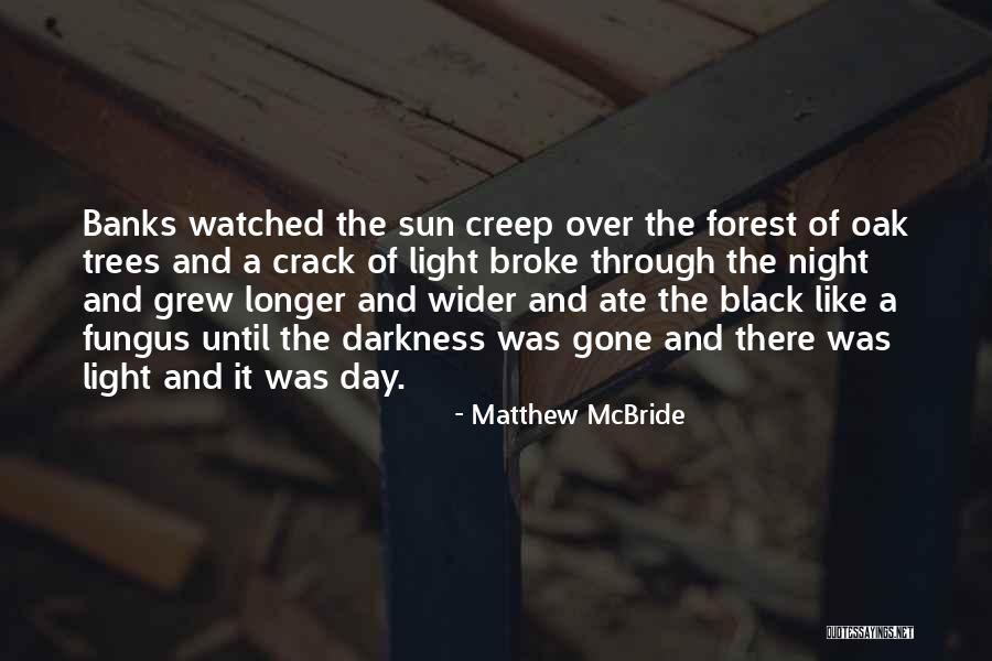 The Black Forest Quotes By Matthew McBride