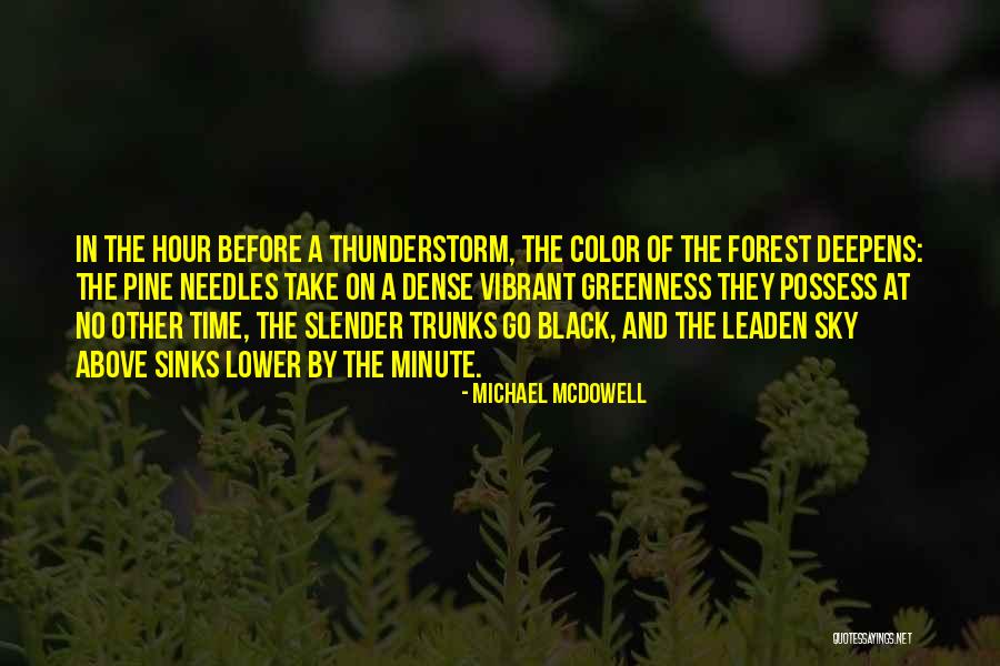 The Black Forest Quotes By Michael McDowell