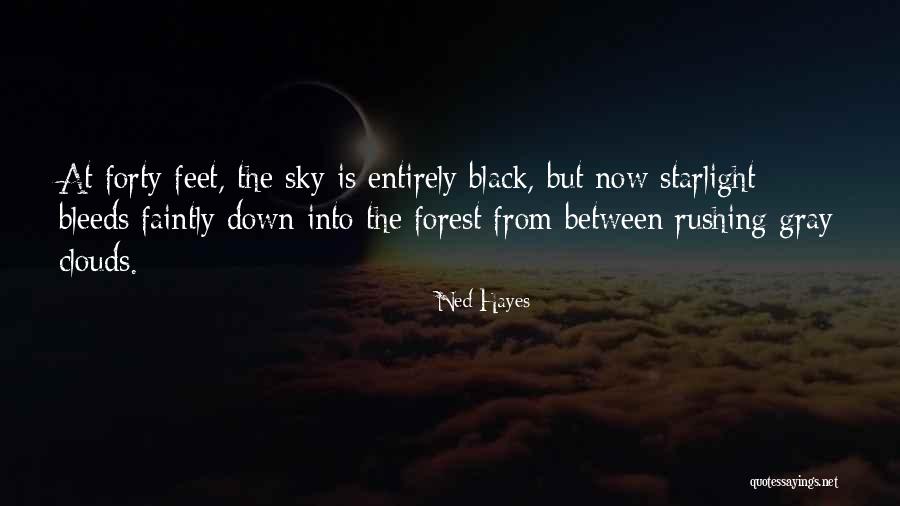 The Black Forest Quotes By Ned Hayes