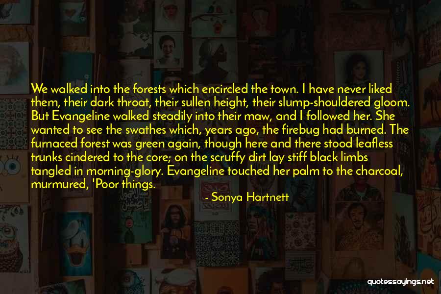 The Black Forest Quotes By Sonya Hartnett The Black Forest Quotes By Sonya Hartnett