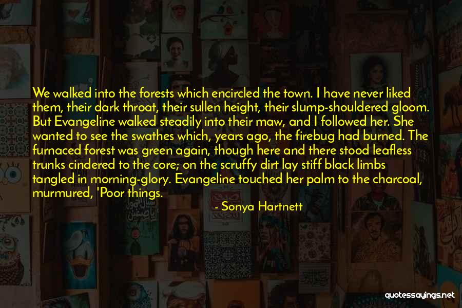 The Black Forest Quotes By Sonya Hartnett