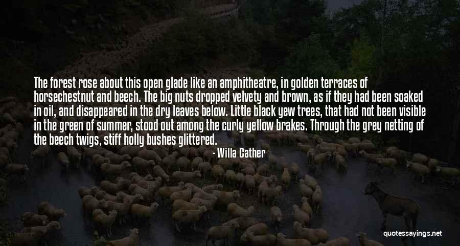 The Black Forest Quotes By Willa Cather The Black Forest Quotes By Willa Cather