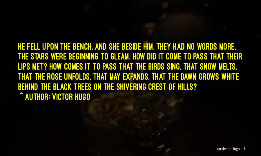 The Black Hills Quotes By Victor Hugo
