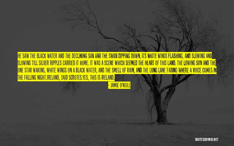 The Black Swan Quotes By Jamie O'Neill The Black Swan Quotes By Jamie O'Neill