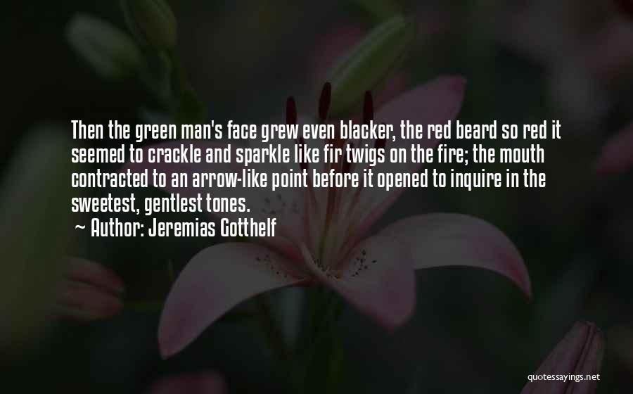 The Blacker Quotes By Jeremias Gotthelf