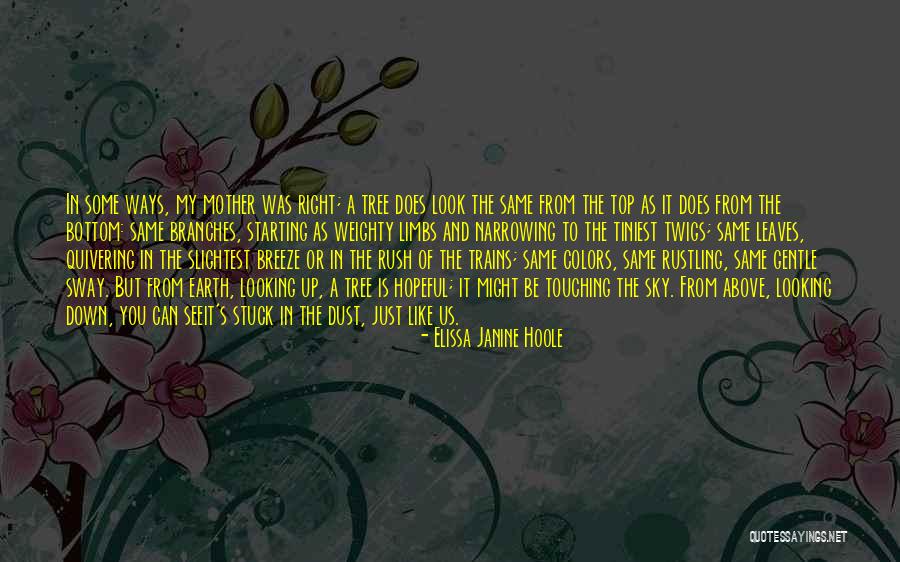 The Blacklick Valley Mysteries Quotes By Elissa Janine Hoole The Blacklick Valley Mysteries Quotes By Elissa Janine Hoole