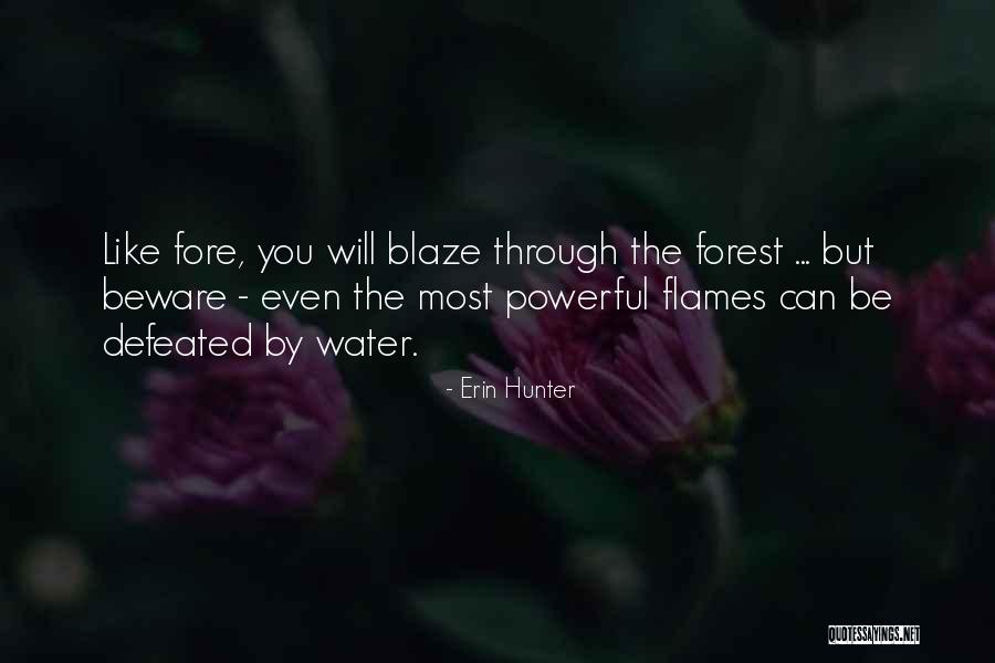The Blaze Quotes By Erin Hunter The Blaze Quotes By Erin Hunter