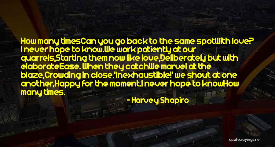 The Blaze Quotes By Harvey Shapiro The Blaze Quotes By Harvey Shapiro