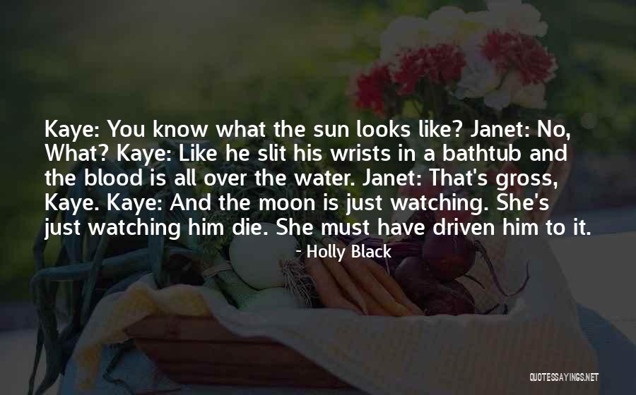 The Blood Moon Quotes By Holly Black