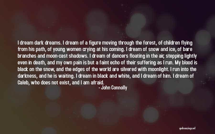 The Blood Moon Quotes By John Connolly
