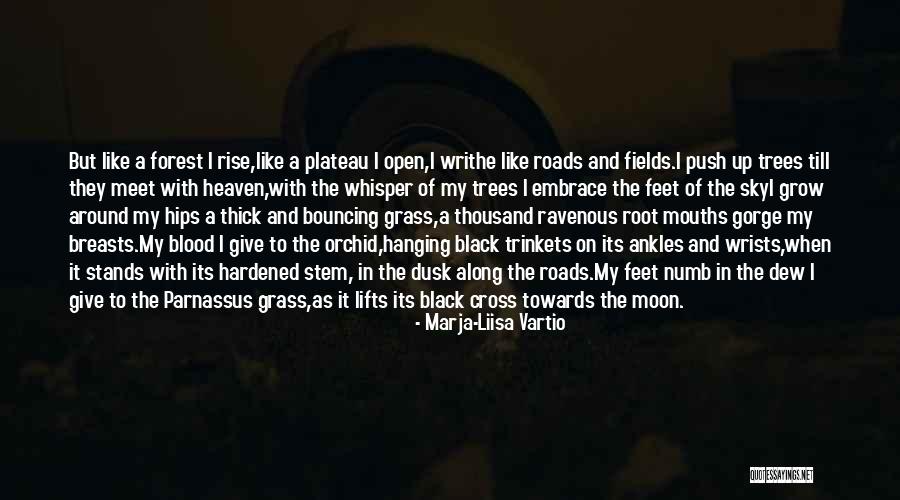 The Blood Moon Quotes By Marja-Liisa Vartio