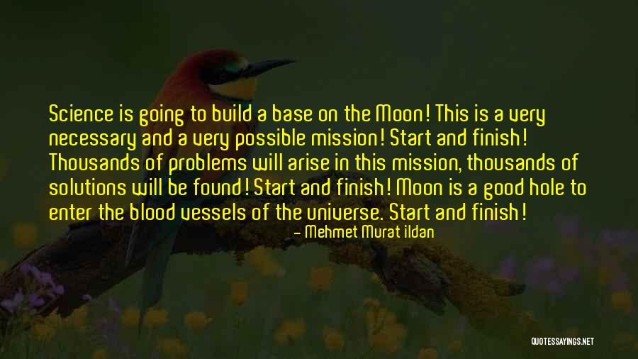 The Blood Moon Quotes By Mehmet Murat Ildan